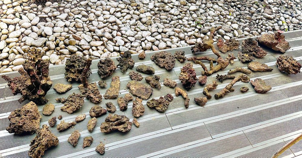 Rocha viva de aquário Reef (água salgada) 71kg