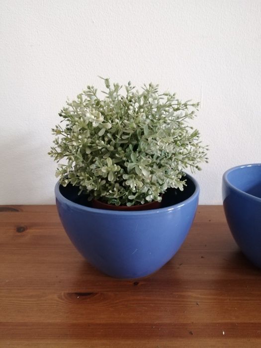 Cachepot Vaso Floreira Centro de Mesa Saladeira Vaso cerâmica