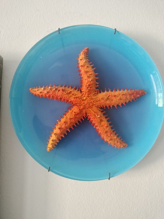 Decoração de Parede Luminarc