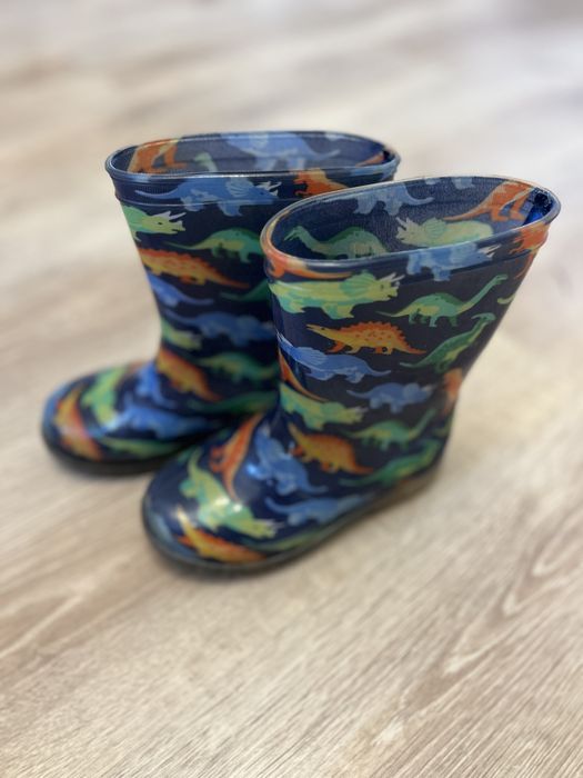 Kalosze dinozaury 27