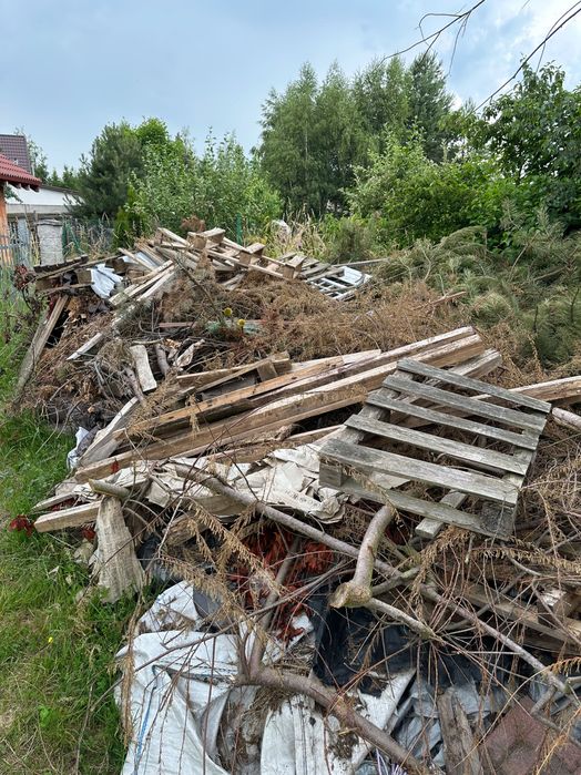Gałęzie drzewa liściaste i iglaste, drewno na opał