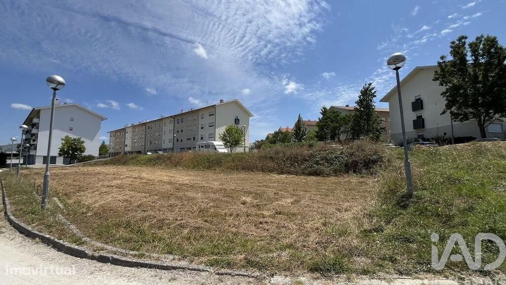 Land for Construction in Mealhada, Ventosa do Bairro, and Nearby
