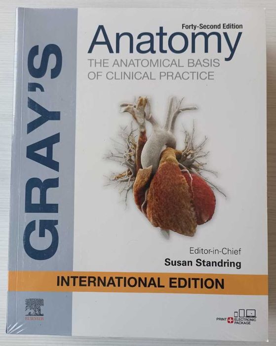 Анатомия человека Gray's anatomy 42 ed. Анатомия Грей 42е издание