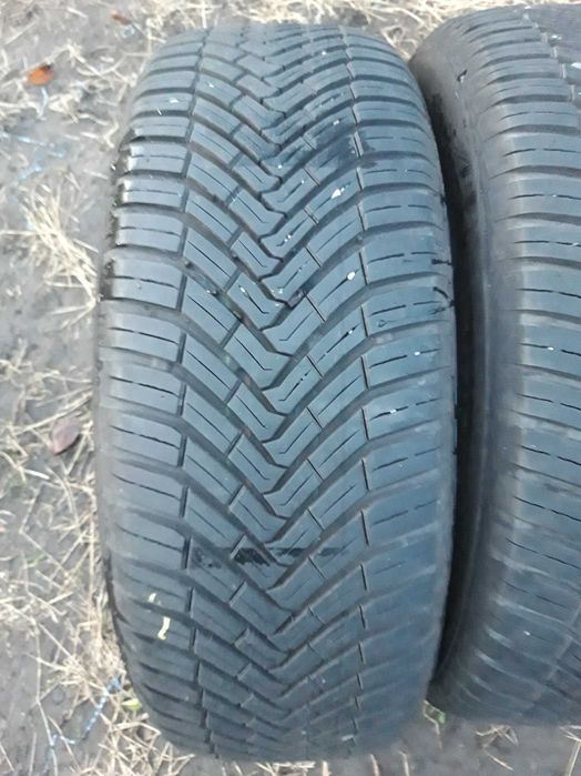 Opony całoroczne 205/60/16 96H Continental All Season Contact