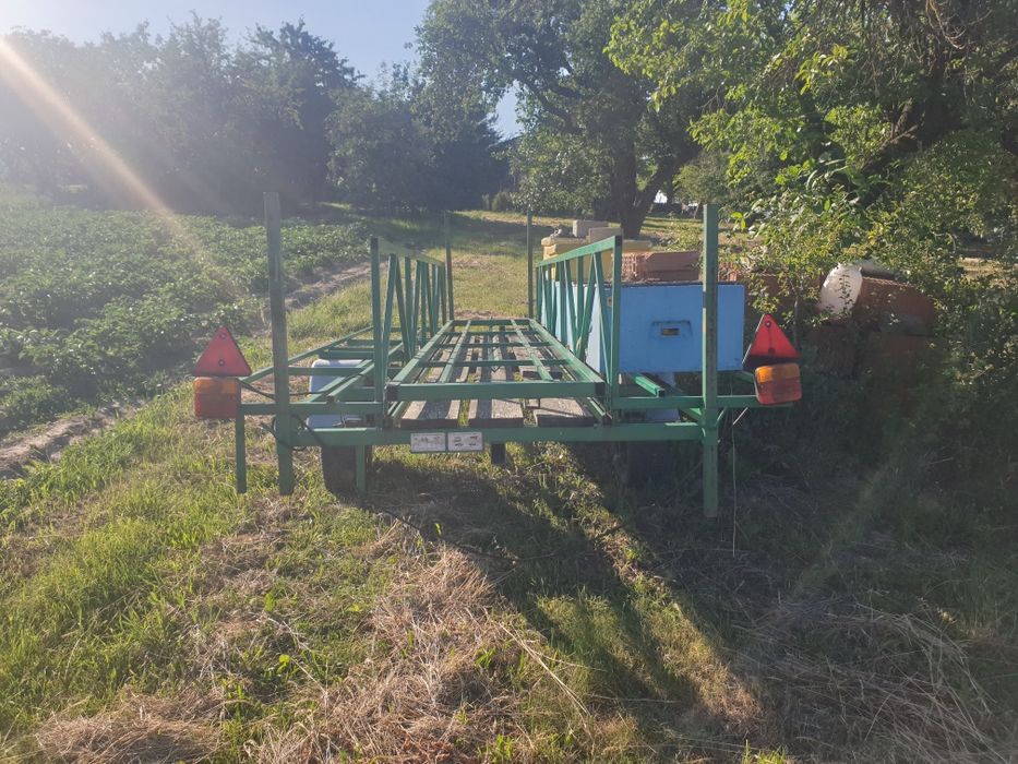 Likwidacja pasieki