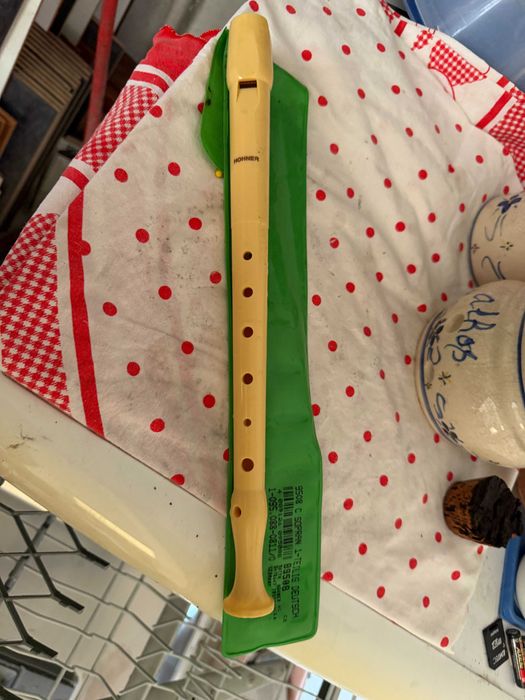 flauta de música com capa verde