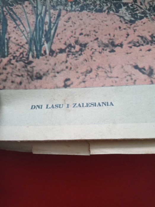 Przyjaciółka tygodnik, nr 17, 23 kwietnia 1972
