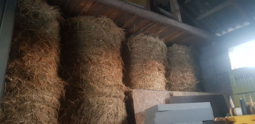 Słoma siano w belach