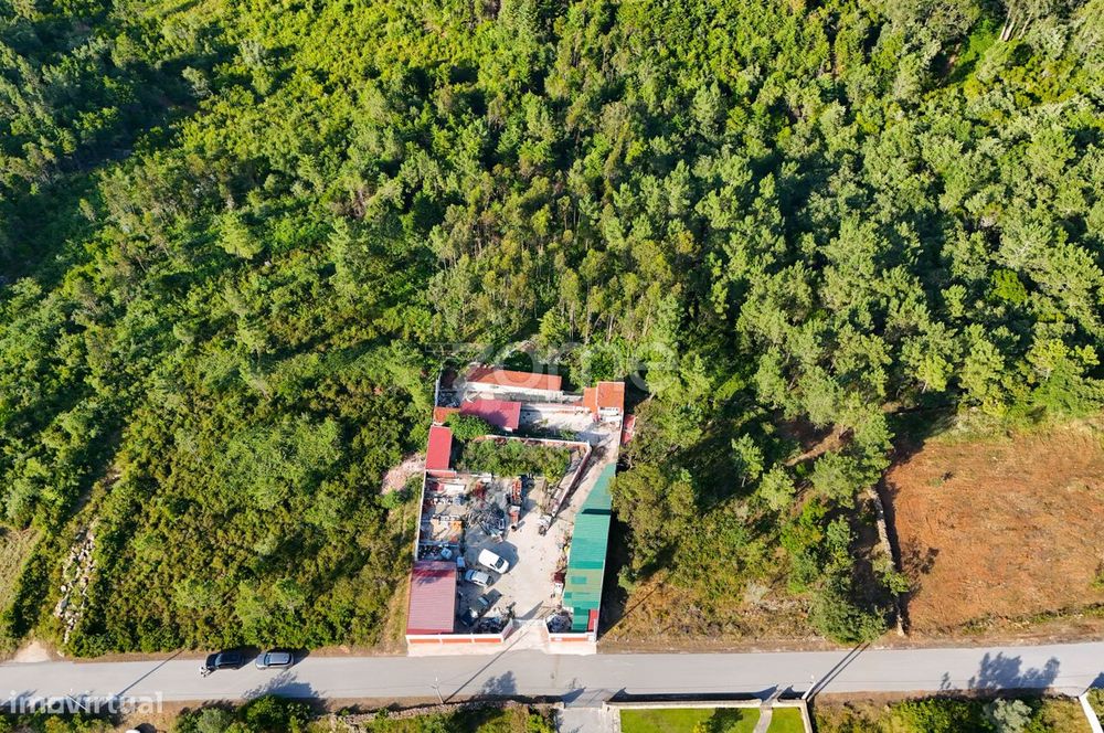 Terreno com 4.800 m² em Vale de Cântaro, Coimbra