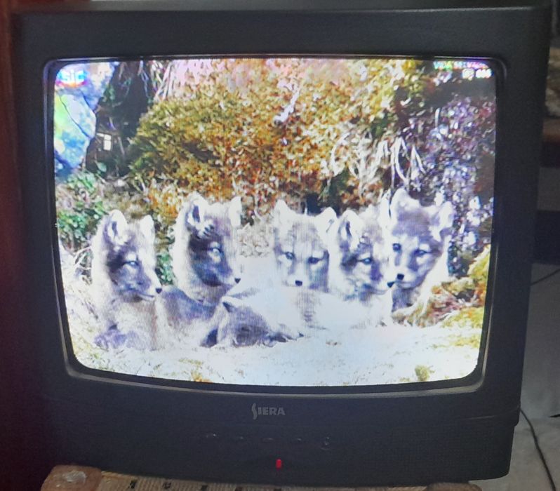 Siera 37 cm TV64284325329409125