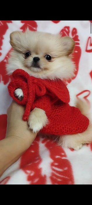 Гарненька міні дівчинка антимрес