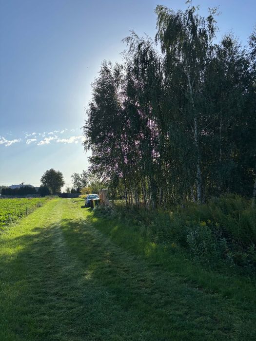 Działka pod budowe, okolica Kampinosu - Widok 3
