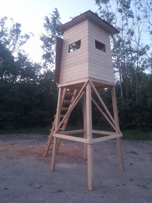 Ambona myśliwska