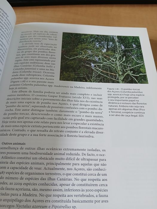 Açores e Madeira