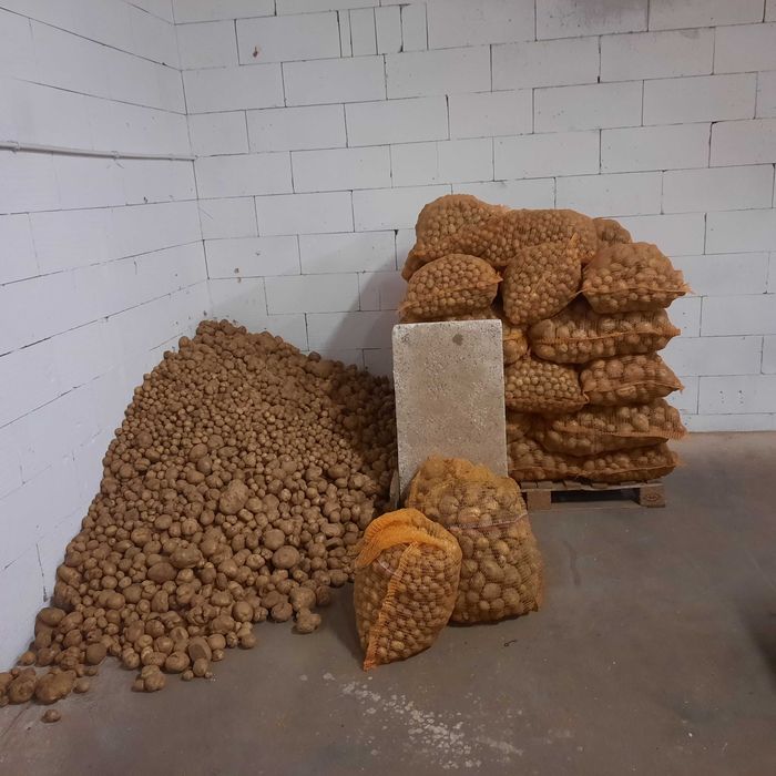 Odsort, odpad ziemniaki Vineta