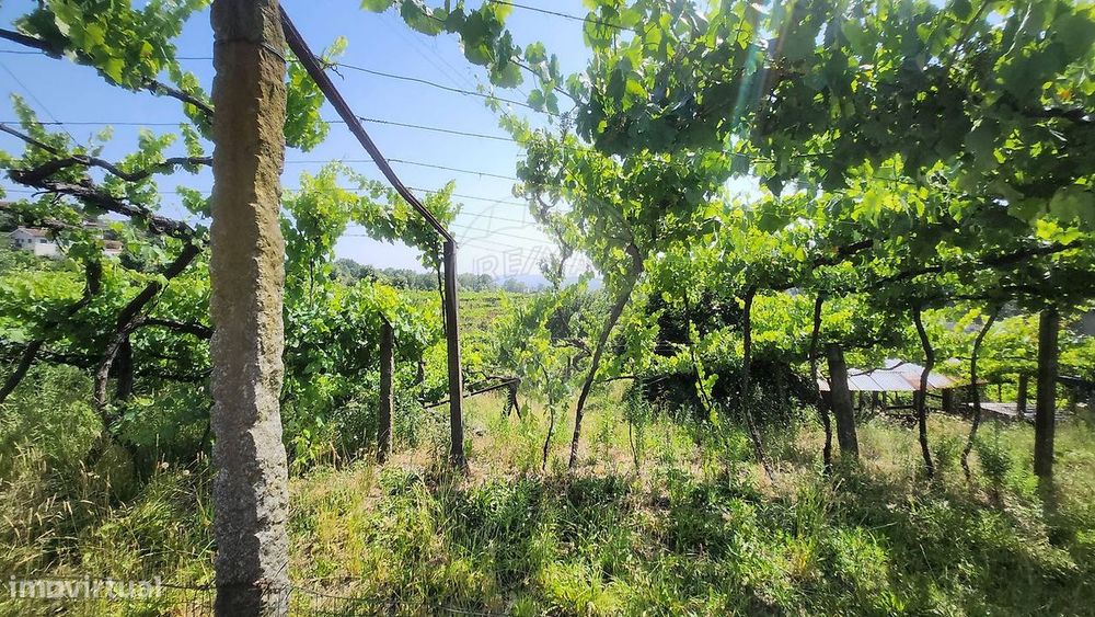 Terreno  para venda
