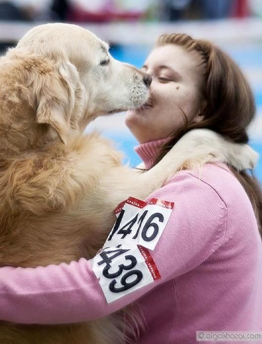 От 120) Зоогостиница/готель/передержка/перетримка для собак (животных)