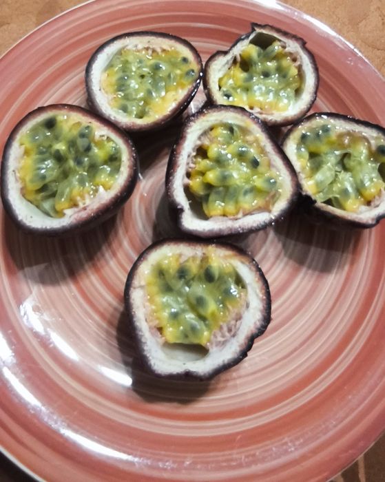 Plantas de maracujá