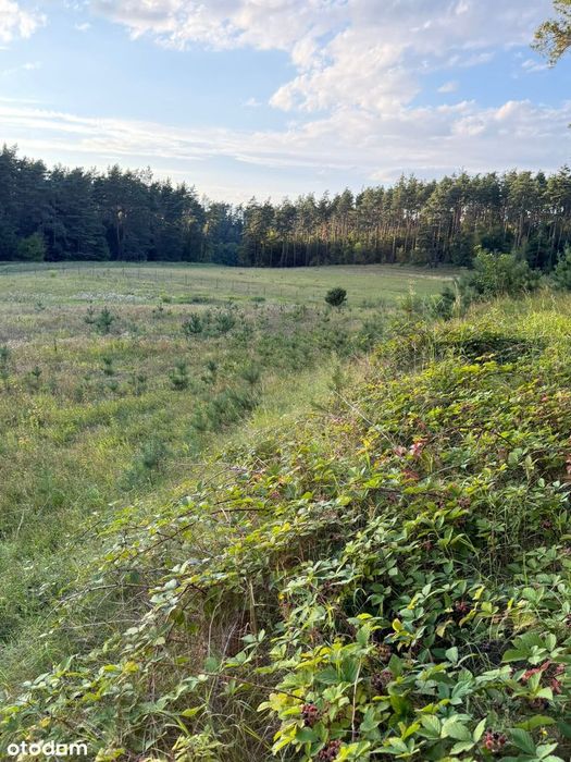 Dom na dużej działce 13 416 m² | Stężyca | blisko jeziora