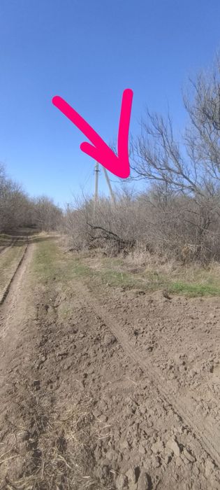 Продаж земельної ділянки с. Колодисте