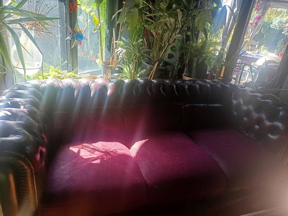 Sofa Chesterfield 2 sztuki