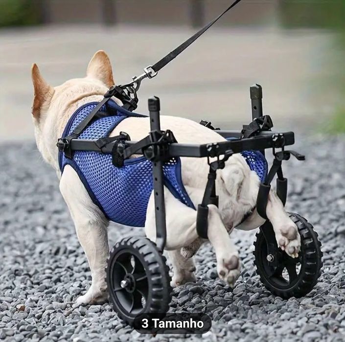 Cadeira de rodas para cachorro.