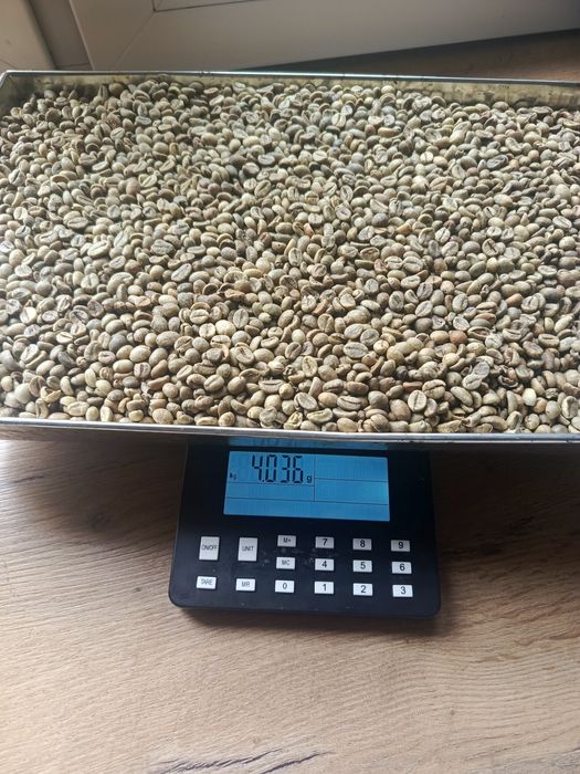 Kawa zielona arabika 4 kg