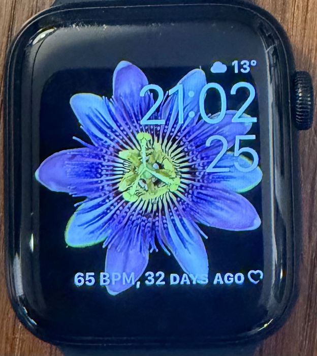 Apple Watch SE 44 mm
