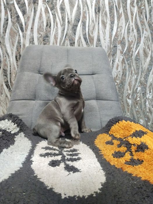 Гарний хлопчик на бронь