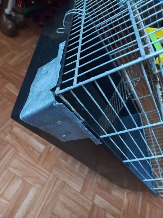 Клітка для гризунів