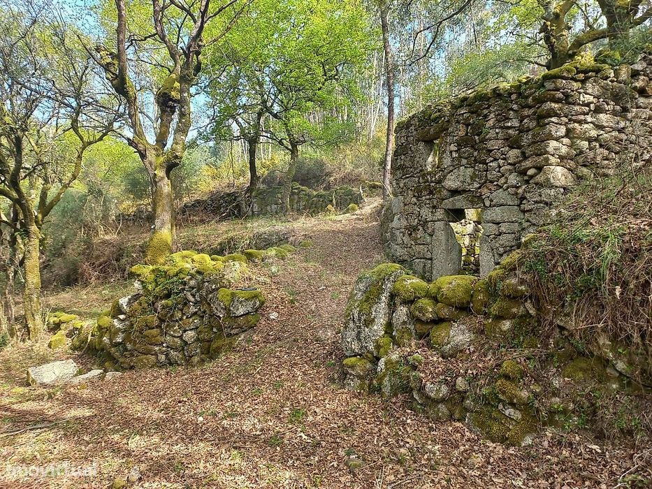 Terreno  para venda
