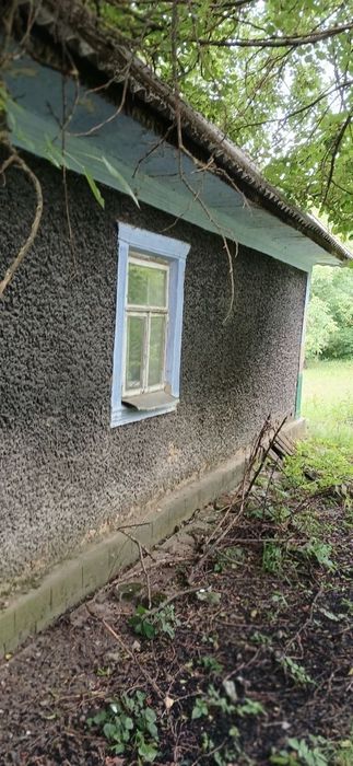 Терміново продам будинок в с.Залісся 1
