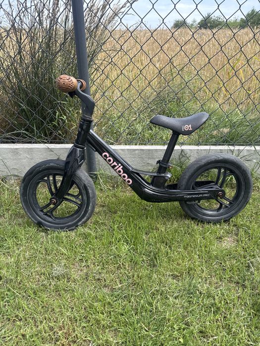 Cariboo magnesium pro