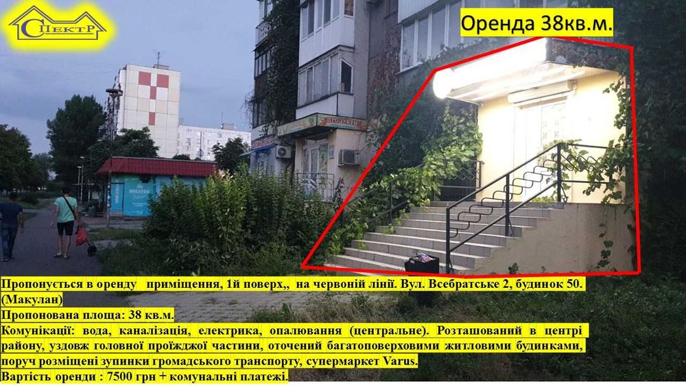 Макулан 38 кв.м. Червона лінія