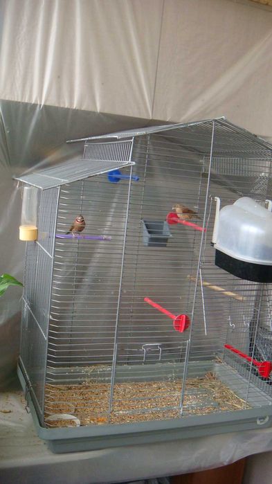 большая клетка для птиц 83 см75см 41см