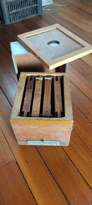 Núcleos de Fecundação de Abelhas Rainhas