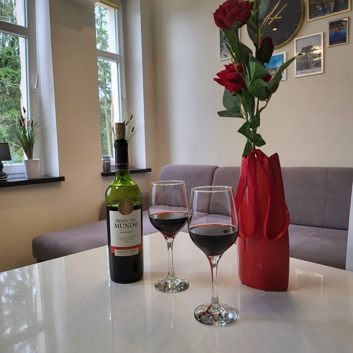 FERIE blisko stoków ZIELENIEC /Apartament KUDOWY  ZDRÓJ