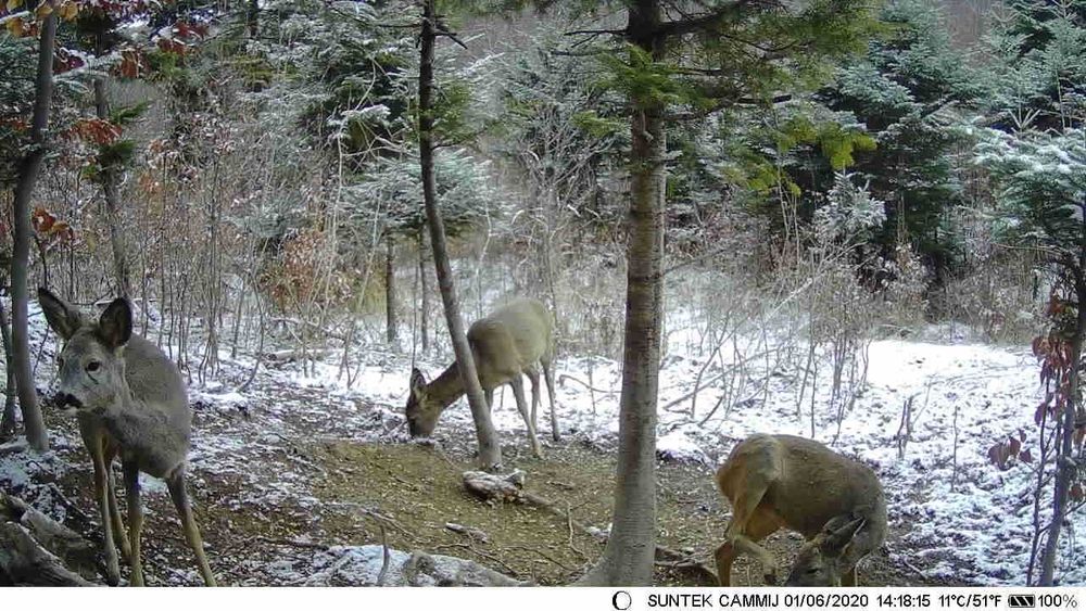 Câmera visão noturna foto e vigilância da casa e do escritório.