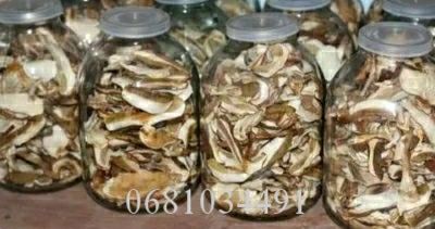 Сушені білі гриби 2024 Прикарпаття