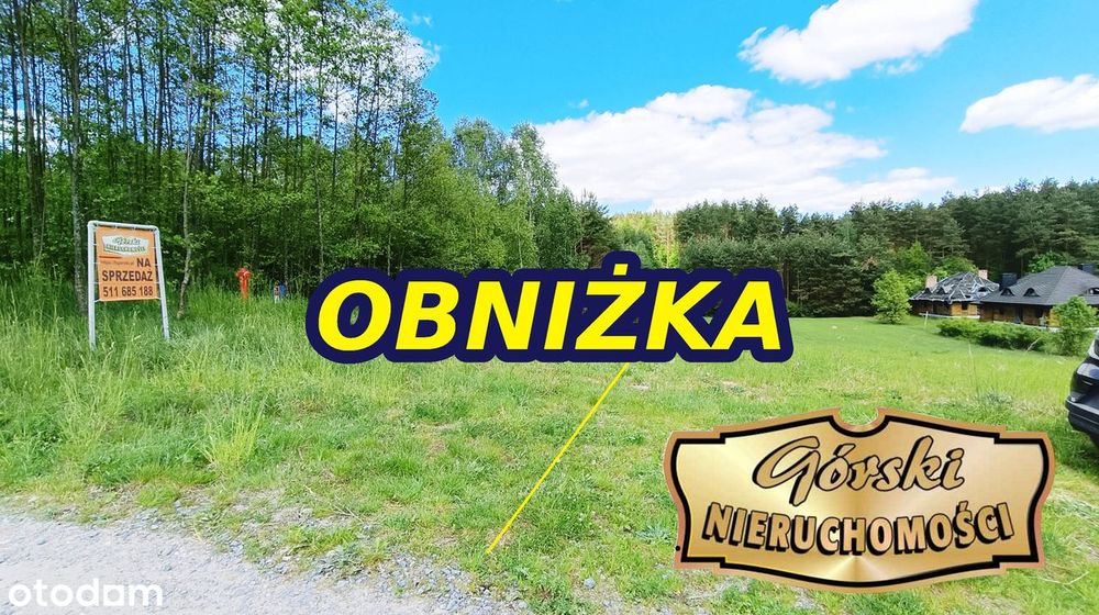 Działki budowlane wśród sosen | Grabnik k/Krasnobrodu | Roztocze