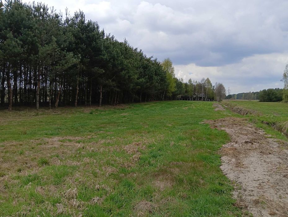 działka budowlana 11ar.( warunki zabudowy)