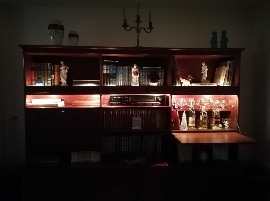 Móvel de Sala em madeira com 2 Bares e iluminação