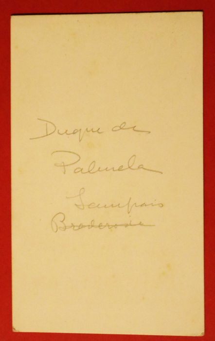 António de Sampaio e Pina de Brederode Duque de Palmela, jure uxoris
