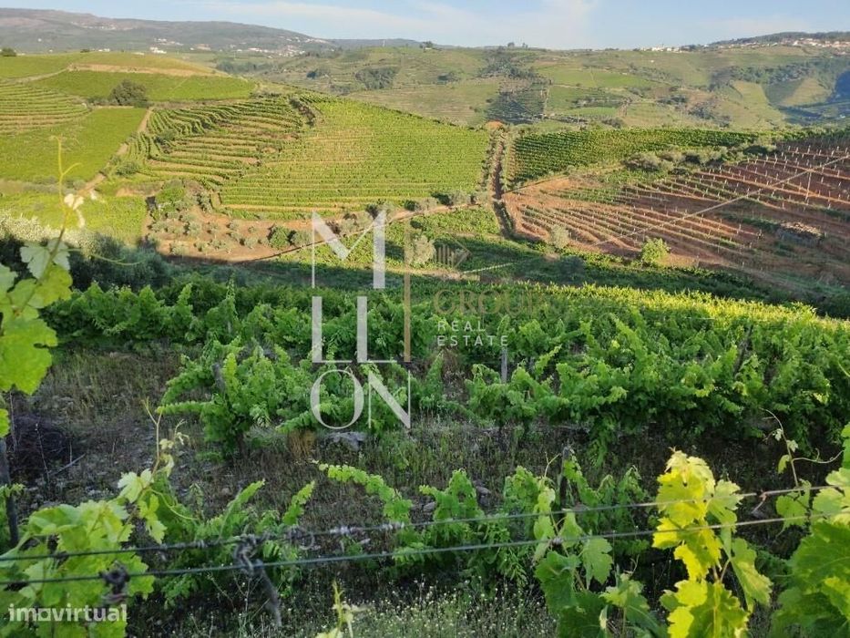Encantadora Quinta com cerca de 3 Hectares de Tradição e Beleza Natura