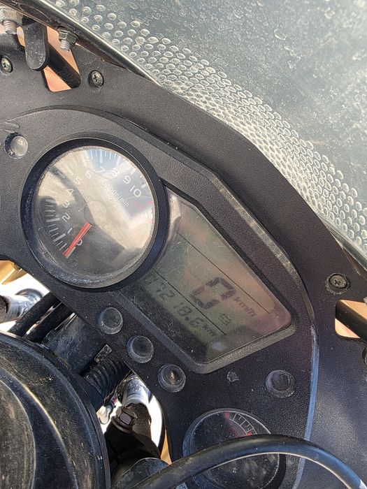 Viper V250 f2, 2021