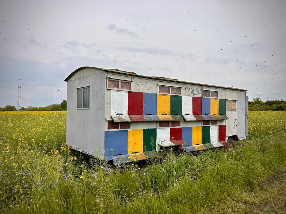 Sprzedam pasiekę - Wóz pszczelarski wraz z ulami i rodzinami