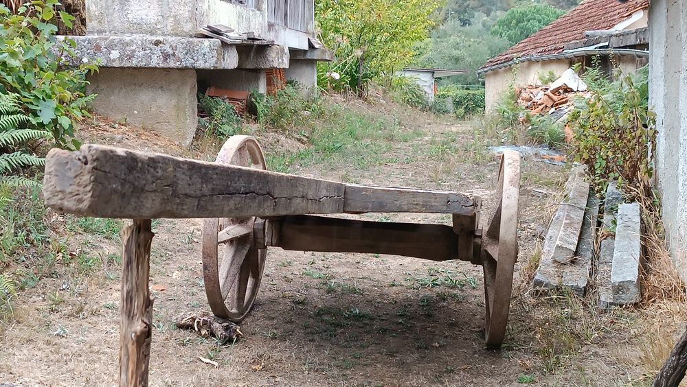 Carro de bois e outras antiguidades