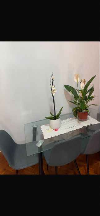 Mesa em vidro de sala com 4 cadeiras comprada a um mes vendo por motivos de mudança