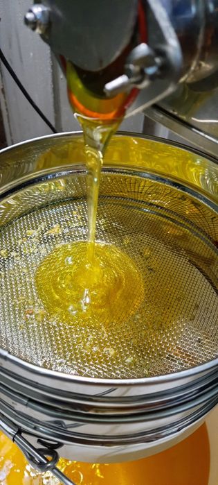 4 Słoiki Miód Lipowy Wielokwiatowy z Własnej Pasieki Od PSZCZELARZA