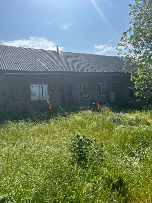 Дом на две половини